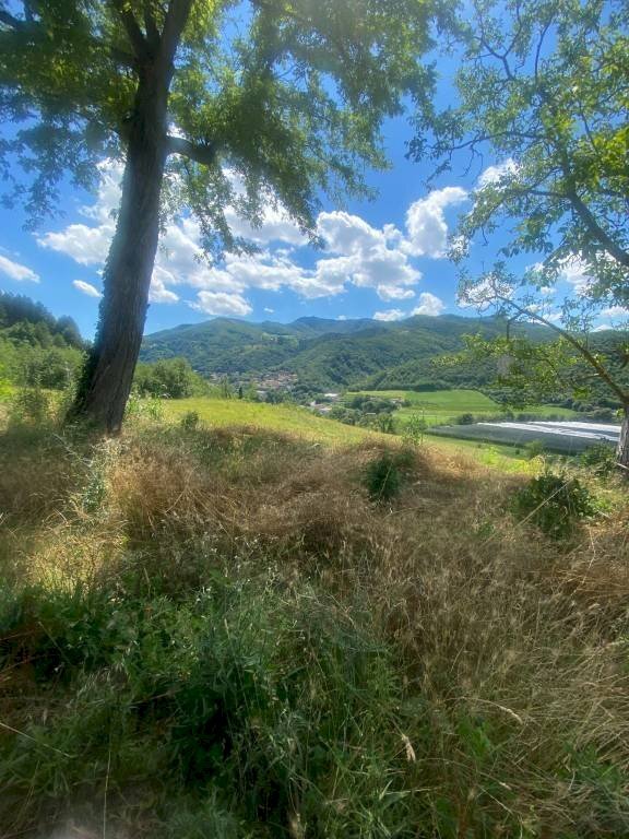 Agricultural land Castel del Rio - photo 3