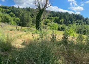Terreno agricolo Castel del Rio - foto 1