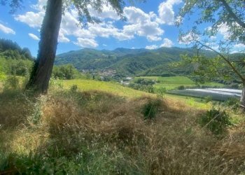 Terreno agricolo Castel del Rio - foto 3