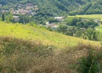 Terreno agricolo Castel del Rio - foto 4