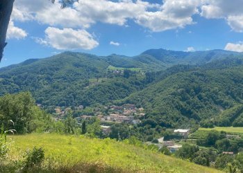 Terreno agricolo Castel del Rio - foto 5