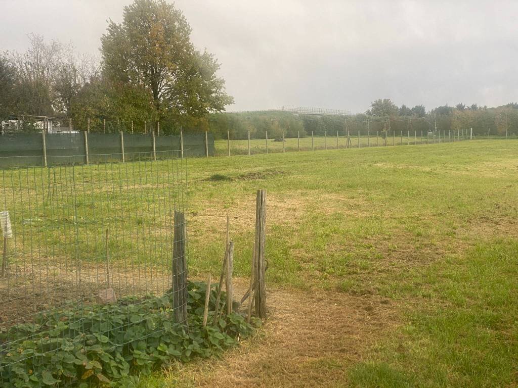 Terreno agricolo Imola - foto 1