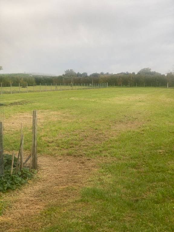 Terreno agricolo Imola - foto 2