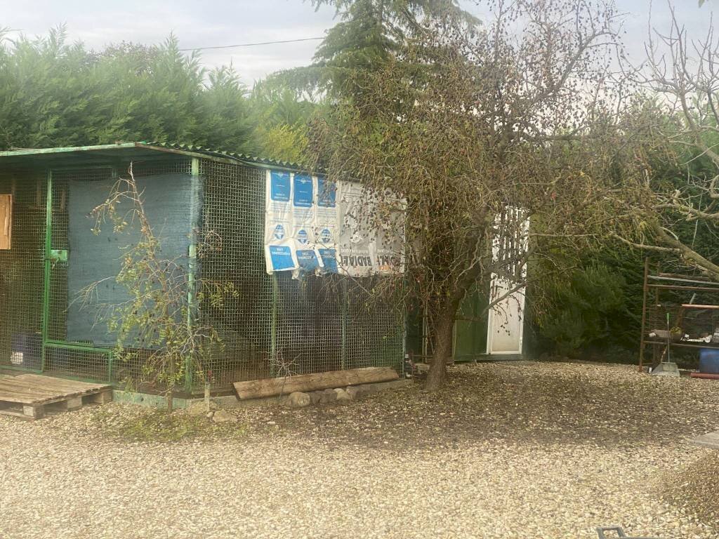 Terreno agricolo Imola - foto 3