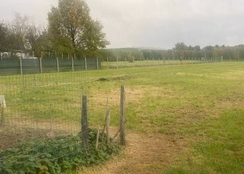 Terreno agricolo Imola - foto 1