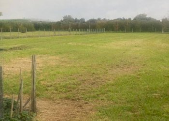Terreno agricolo Imola - foto 2