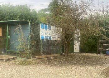Terreno agricolo Imola - foto 3