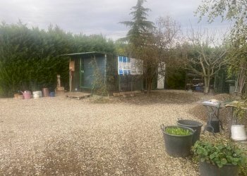 Terreno agricolo Imola - foto 4