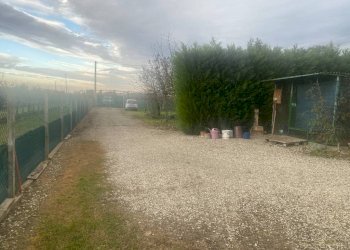 Terreno agricolo Imola - foto 5