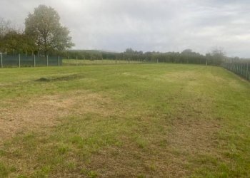 Terreno agricolo Imola - foto 6
