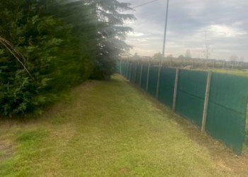 Terreno agricolo Imola - foto 7