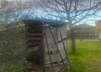 Terreno agricolo Imola - foto 9