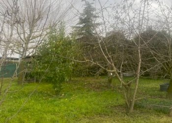 Terreno agricolo Imola - foto 11