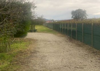 Terreno agricolo Imola - foto 12