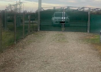 Terreno agricolo Imola - foto 13