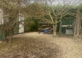 Terreno agricolo Imola - foto 14