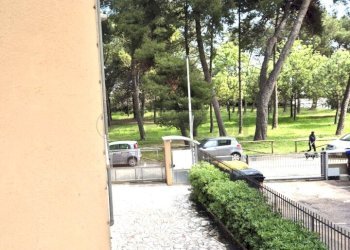 19.jpg - Three-room apartment Montesilvano - photo 19