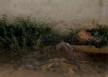 WhatsApp Image 2026-04-29 at 11.45.44(1).jpg - Villa Via Domenico Battisti 18, Scorrano - photo 15