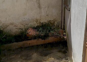 WhatsApp Image 2026-04-29 at 11.45.44.jpg - Villa Via Domenico Battisti 18, Scorrano - photo 16