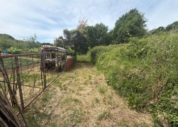07e0ea47-ac40-463e-a1ef-7765ef9543d5.jpg - Casa semi indipendente Via Nave 17, Sarzana - foto 3