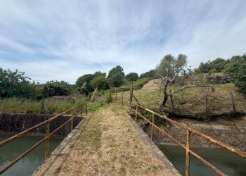31d92a63-1d3c-4c37-b9b8-d43e515751cf.jpg - Casa semi indipendente Via Nave 17, Sarzana - foto 6