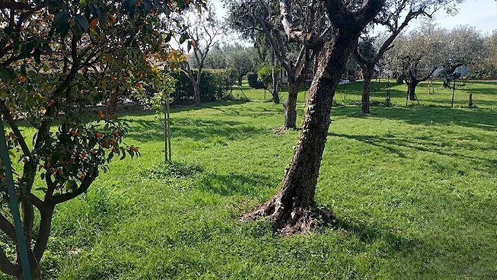 22.png - Appartamento Via Isolone, Fosdinovo - foto 2