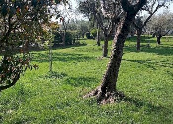22.png - Appartamento Via Isolone, Fosdinovo - foto 2
