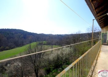 1886 (45).jpg - Casale SP216 6, Pareto - photo 28