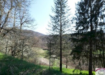 1886 (12).jpg - Casale SP216 6, Pareto - photo 29