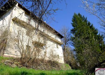 1886 (69) - Casale SP216 6, Pareto - photo 3