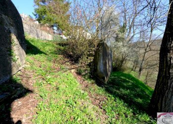 1886 (64).jpg - Casale SP216 6, Pareto - photo 30