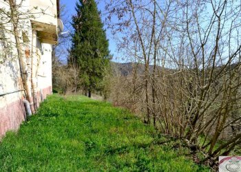 1886 (67).jpg - Casale SP216 6, Pareto - photo 5