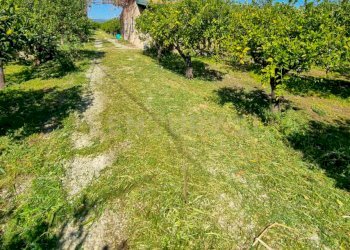 foto cliente (1).jpeg - Rustico Strada Provinciale 92 92, Francofonte - foto 14
