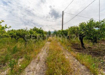 Pedagaggi (3).jpg - Rustico Strada Provinciale 92 92, Francofonte - foto 20