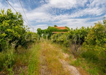 Pedagaggi (4).jpg - Rustico Strada Provinciale 92 92, Francofonte - foto 21
