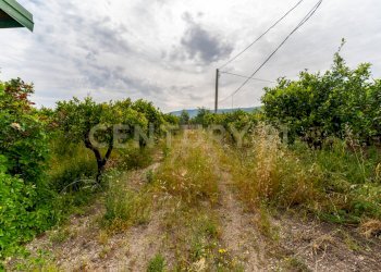 Pedagaggi (5).jpg - Rustico Strada Provinciale 92 92, Francofonte - foto 22
