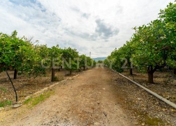 Pedagaggi (11).jpg - Rustico Strada Provinciale 92 92, Francofonte - foto 27