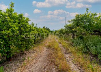 Pedagaggi (12).jpg - Rustico Strada Provinciale 92 92, Francofonte - foto 28