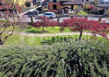 20260402_161004.jpg - Villa Via Giovanni Antonio Comissetti 1, Pezzana - foto 8