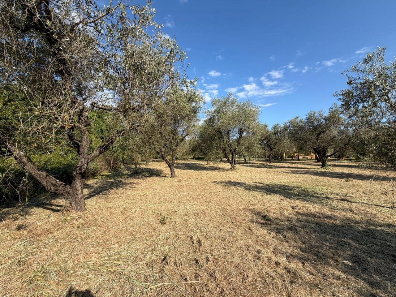 a7db8599-f1a3-4cdc-ac2f-8b3d5642b465.jpg - Terreno agricolo Castelnuovo Magra - foto 2