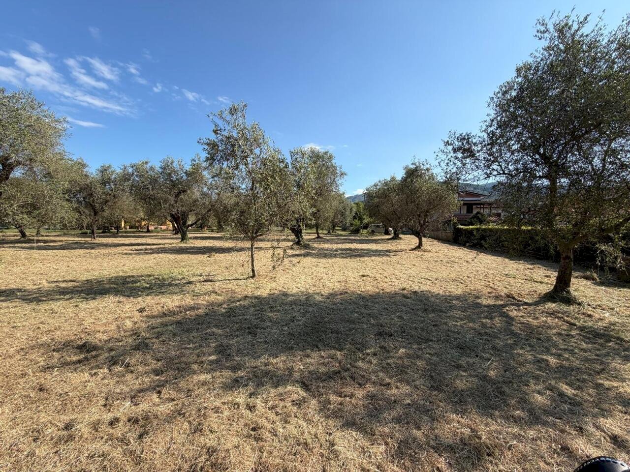 d64c02a3-5a2f-4ecd-96c5-b08333b1ea0b.jpg - Terreno agricolo Castelnuovo Magra - foto 3