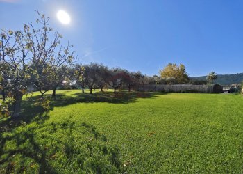 IMG_20250920_102230.jpg - Villa Via Forano 9, Ameglia - foto 12