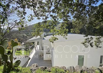 Villa Olbia - photo 2