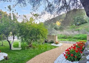 Villa Olbia - photo 5