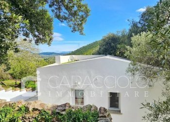 Villa Olbia - photo 6