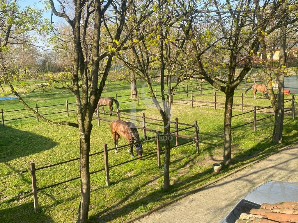 Lodi Maneggio in Vendita - Agriturismo CASCINA CA DE ZECCHI, Tavazzano con Villavesco - foto 3