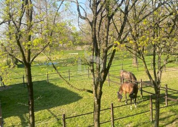 Lodi Maneggio in Vendita - Agriturismo CASCINA CA DE ZECCHI, Tavazzano con Villavesco - foto 2
