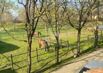Lodi Maneggio in Vendita - Agriturismo CASCINA CA DE ZECCHI, Tavazzano con Villavesco - foto 3