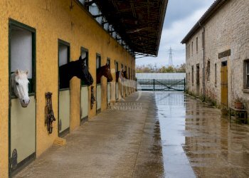 Agriturismo CASCINA CA DE ZECCHI, Tavazzano con Villavesco - foto 4