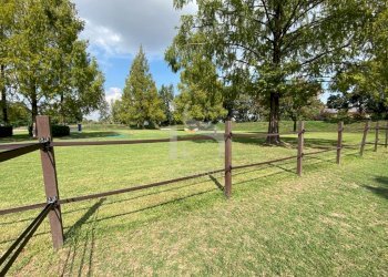 Lodi Maneggio in Vendita - Agriturismo CASCINA CA DE ZECCHI, Tavazzano con Villavesco - foto 11